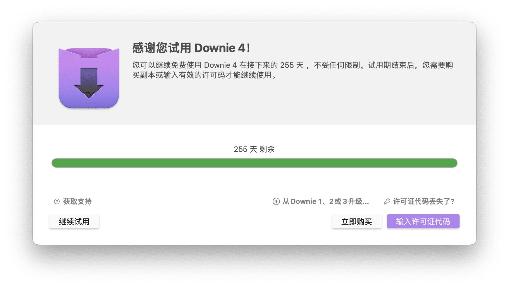 downie-3
