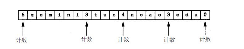 域名的存储