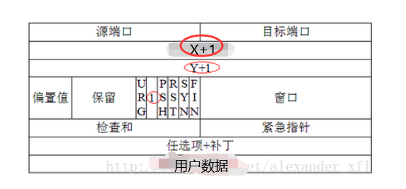 我的理解