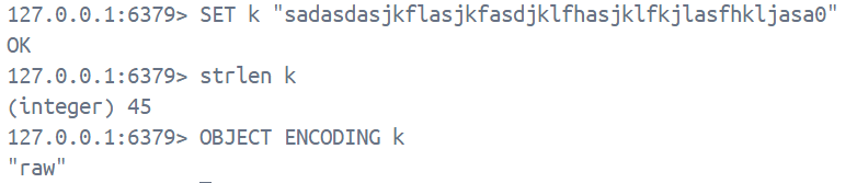 image-20241218215124643