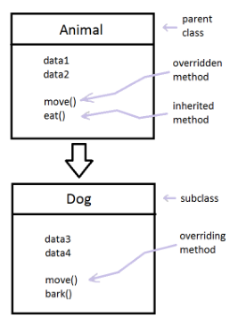 image-20220609182845523