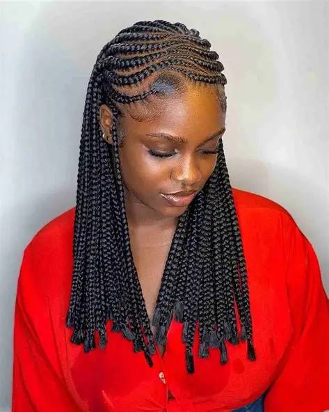 Back to School Braided Hairstyles for Women 