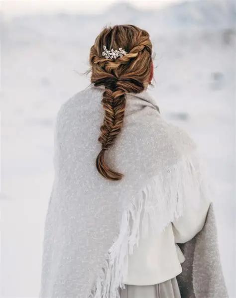 Winter Braid Ideas 