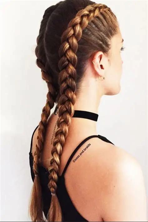 Winter Braid Ideas 