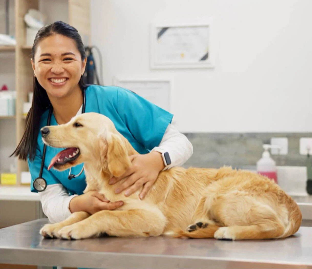 Pet Care Service App