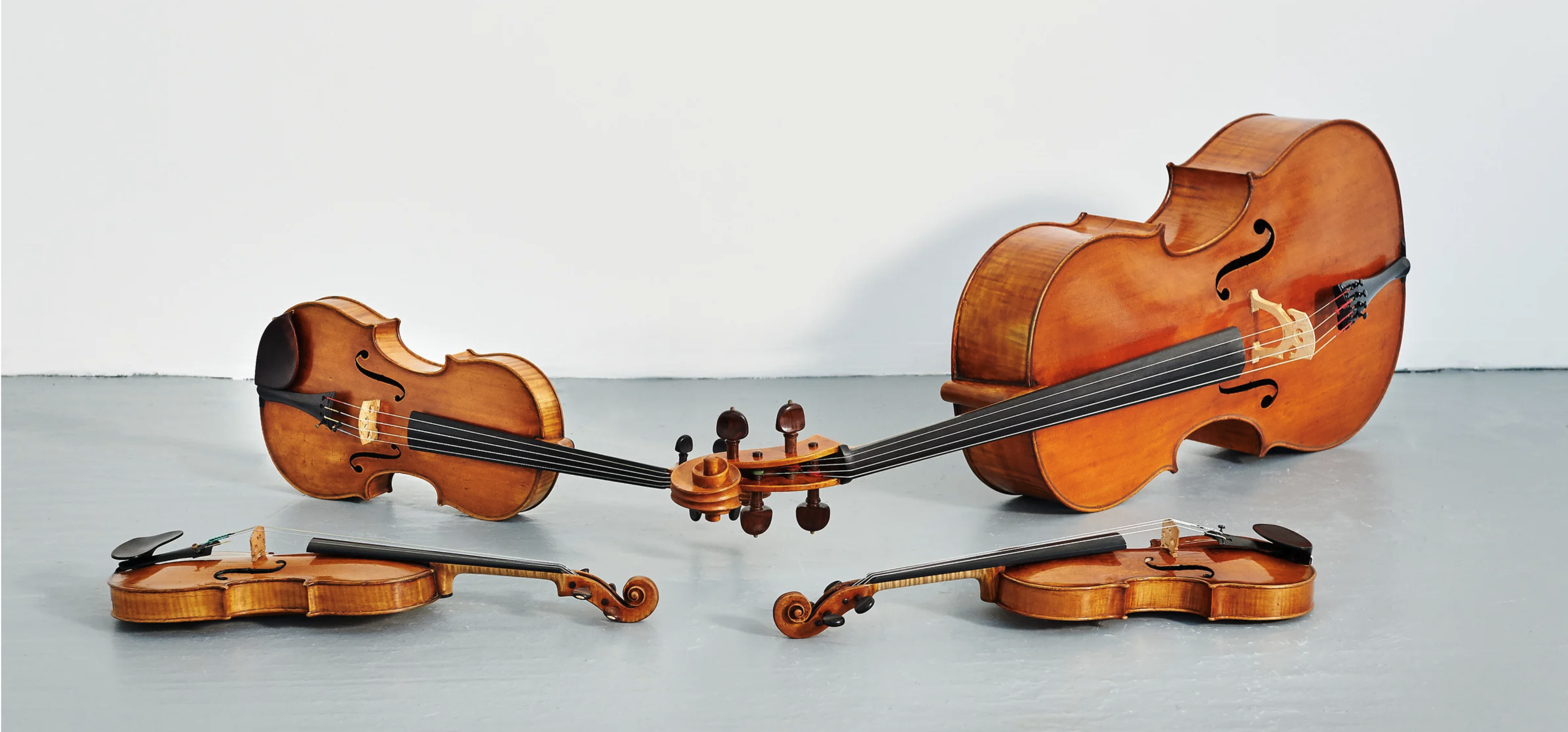 Victoria Strings Hero Background