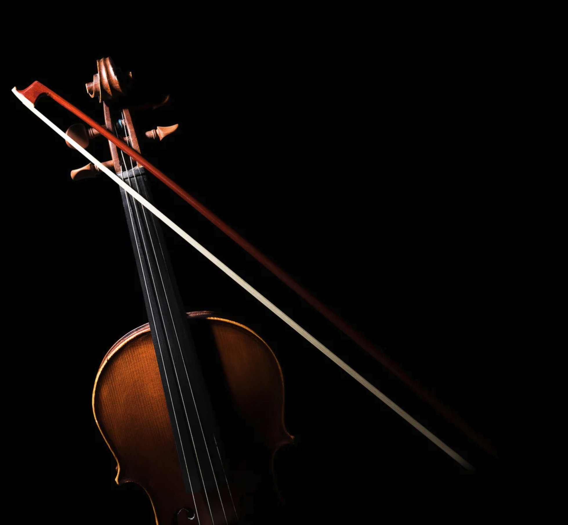 Violin Detail