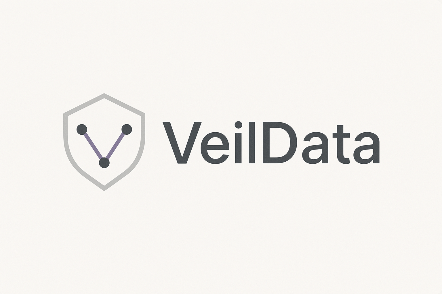 VeilData logo