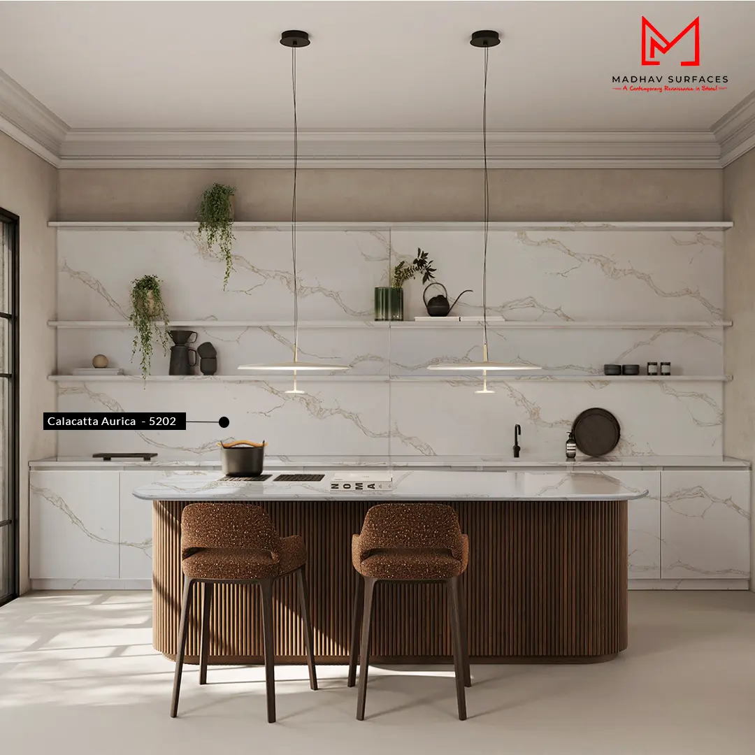 Contemporary Chef's Kitchen