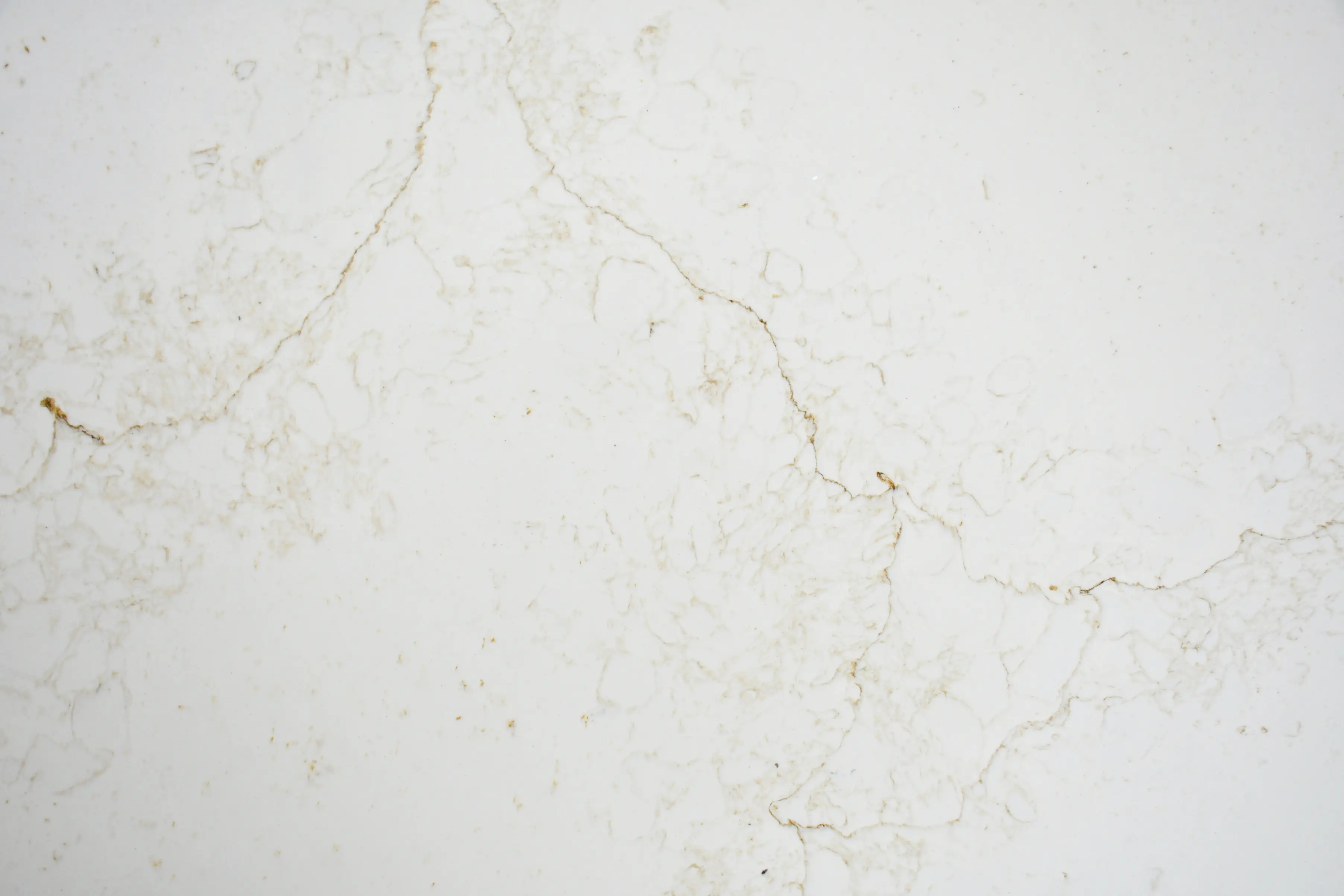 Calacatta Knight Oro BV