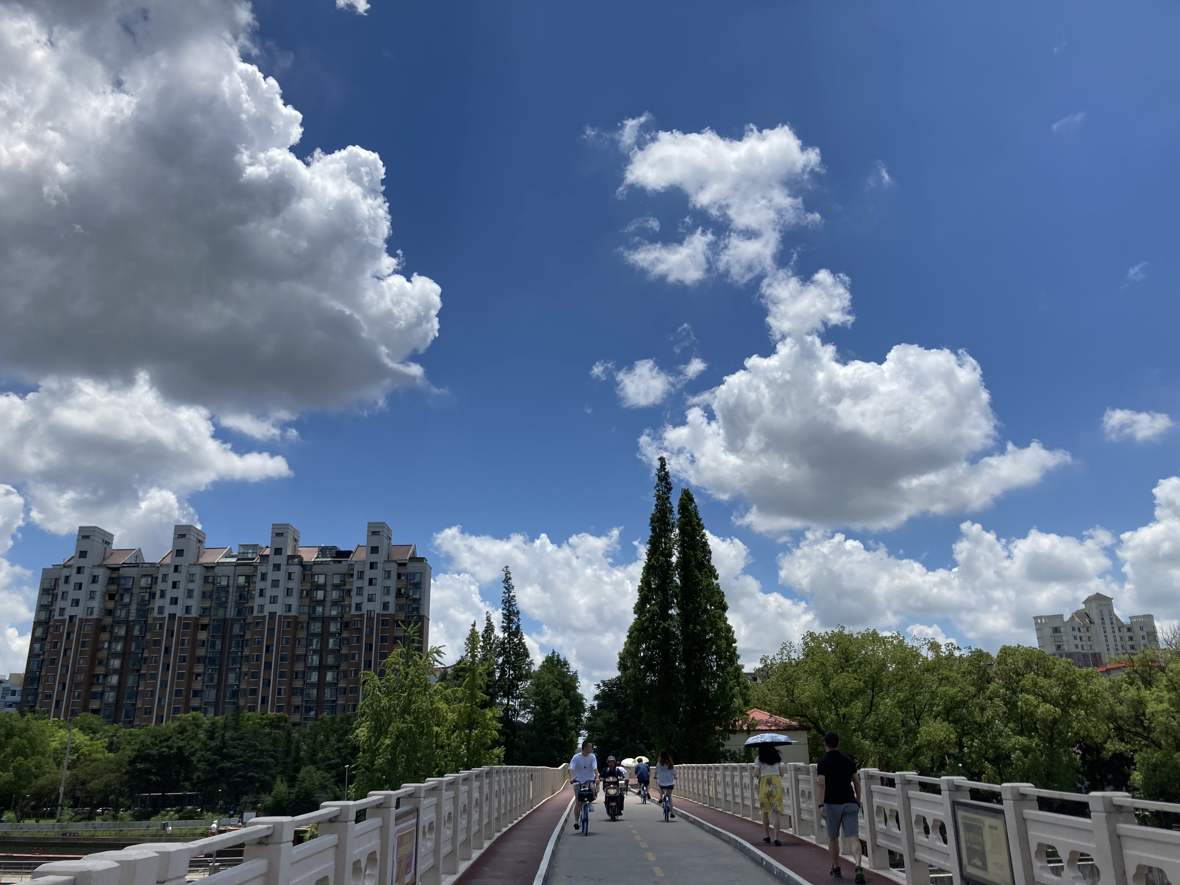 bridge-cloud