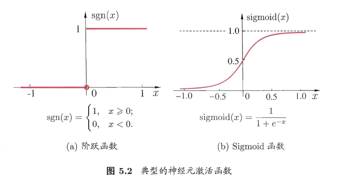 典型的神经元激活函数