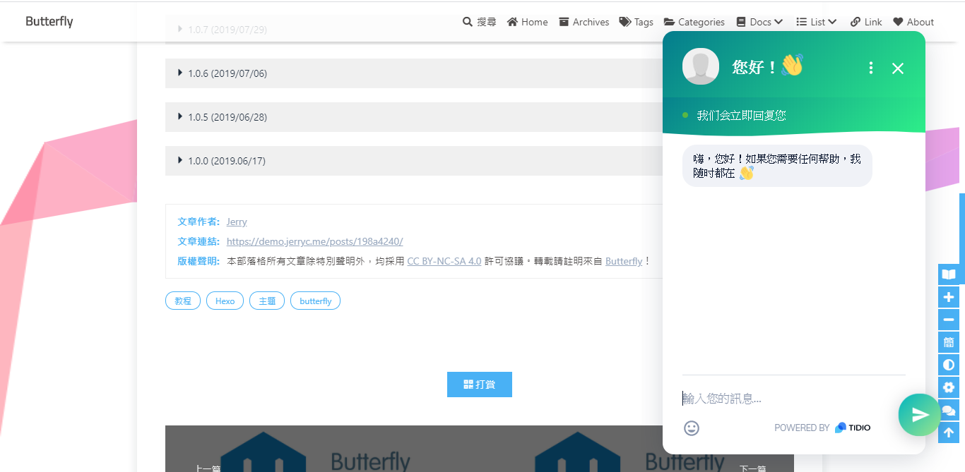 butterfly-docs-04-chat-tidio-demo