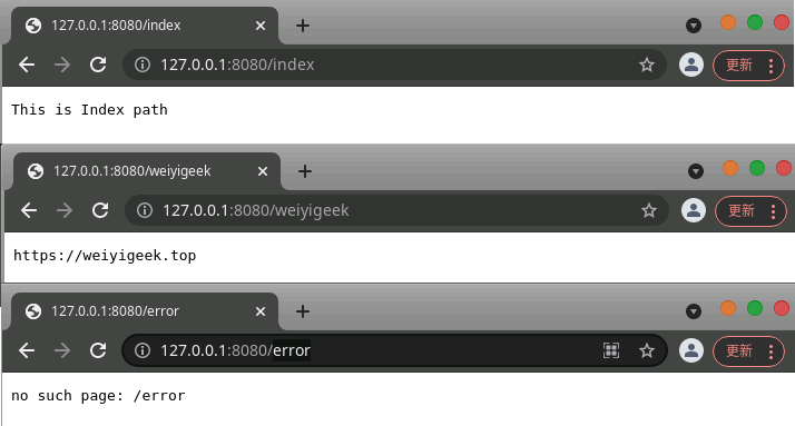 WeiyiGeek.自定义http.Server结构体参数与Handler实现