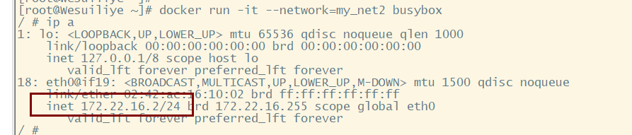 image-20230415212702827