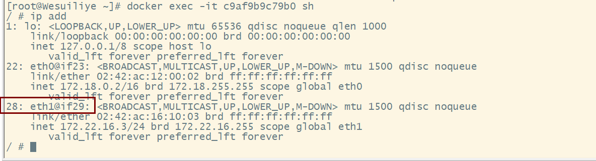 image-20230415222548644