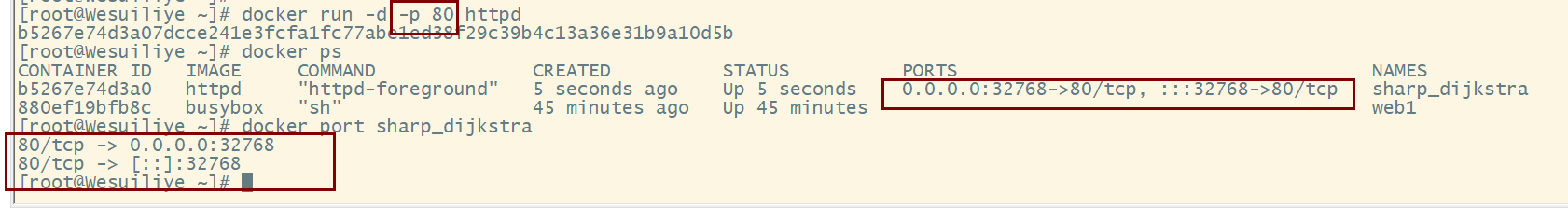 image-20230415234404828