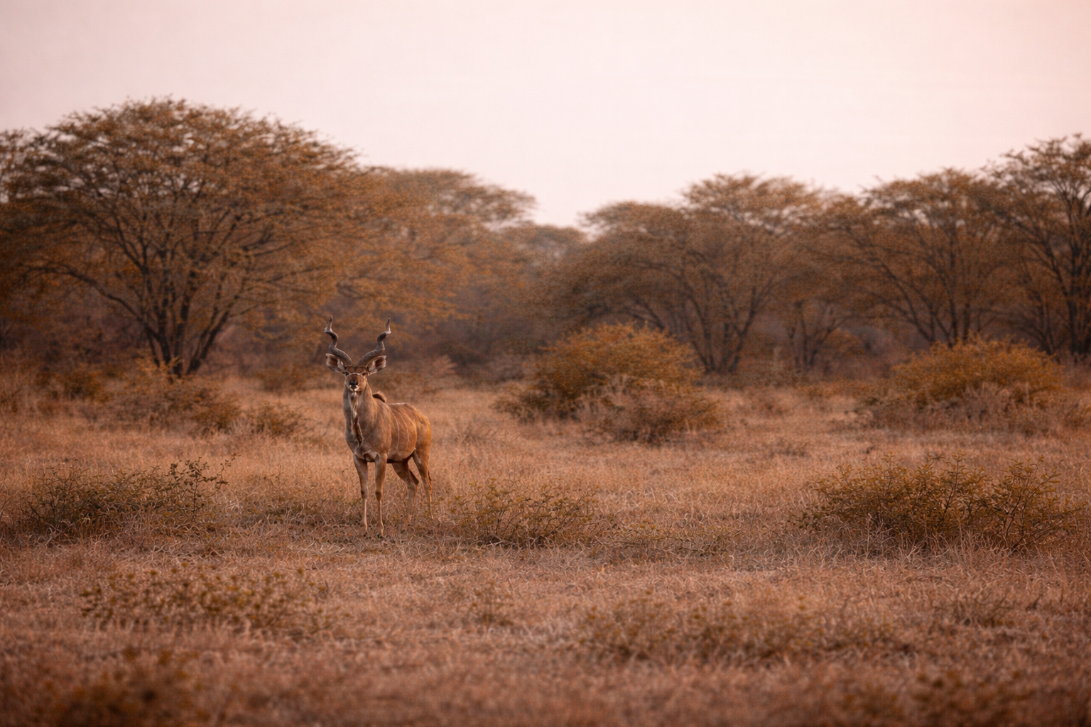 Limpopo