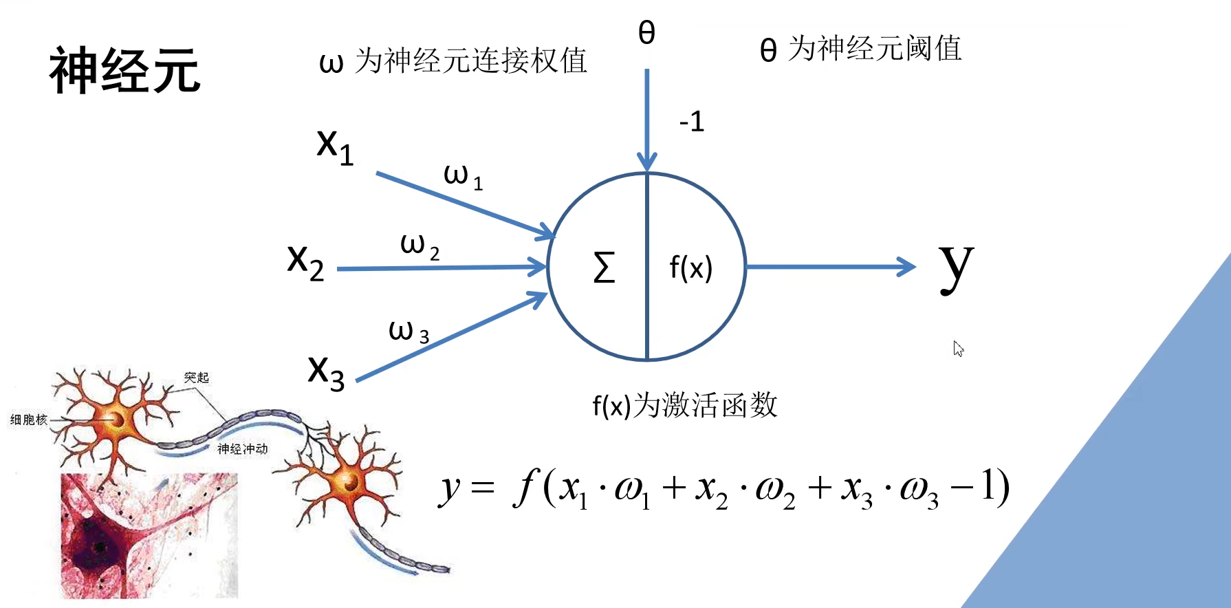 image-20250708001059546