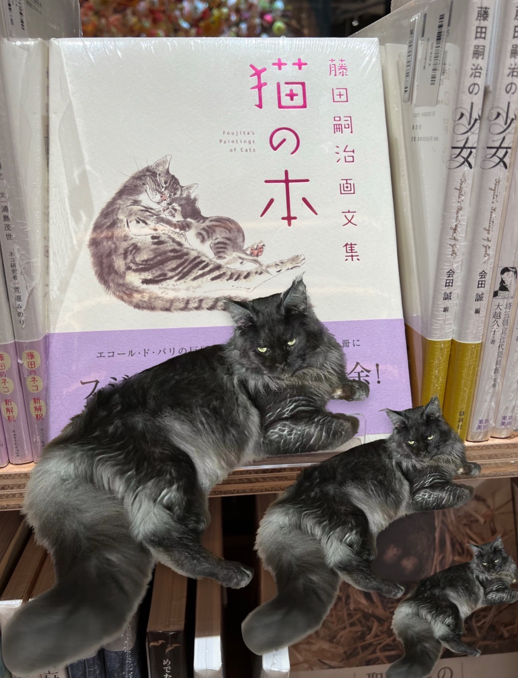 守护者