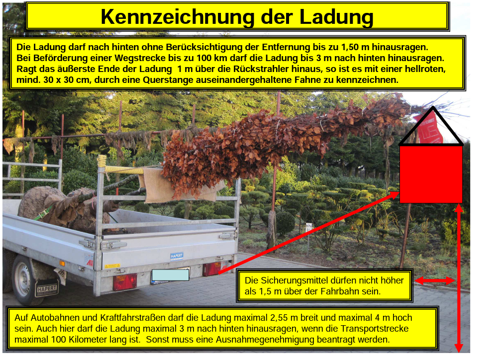 image-20220530205841080