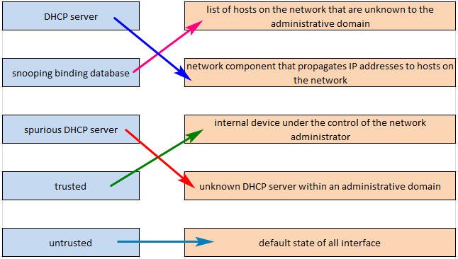 CCNA 200-301 Dumps
