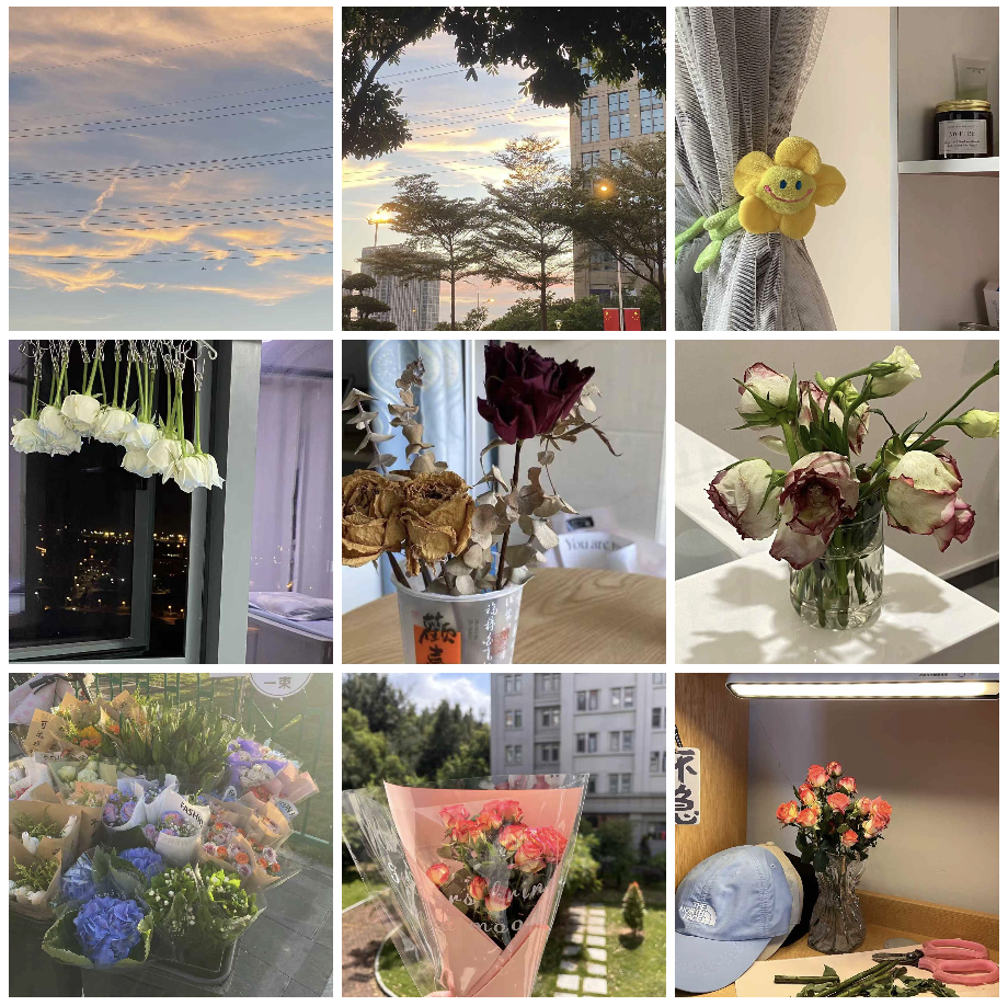 image-20250110062428251