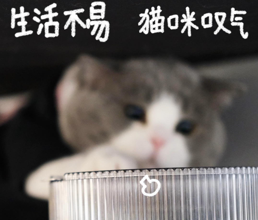 image-20250628035843883