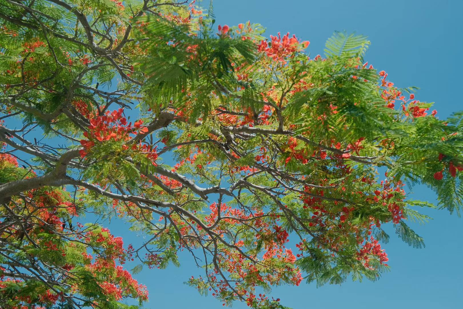 78efd7ae638ca2c22cf33454fae898ee