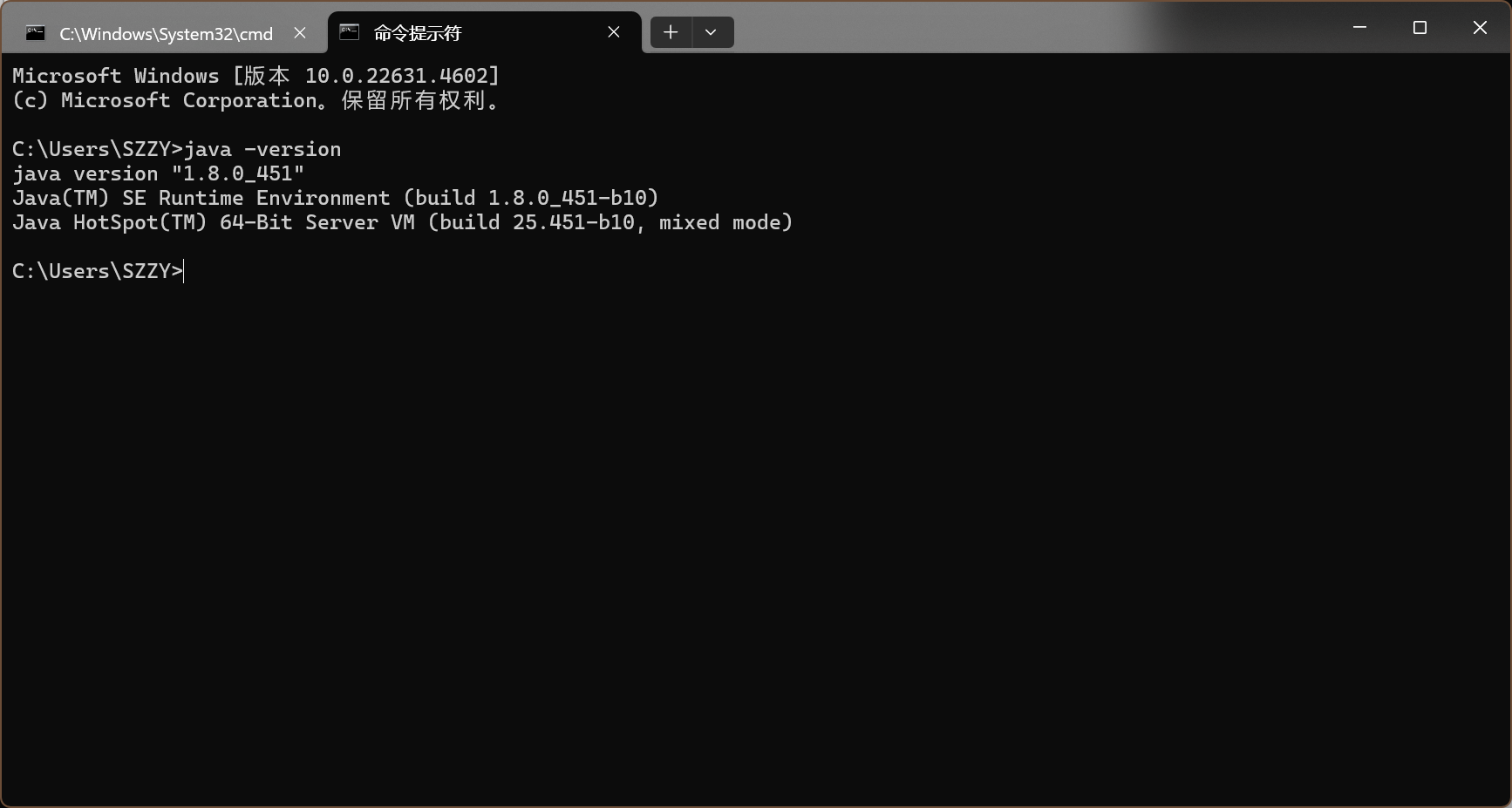 image-20251112082027656