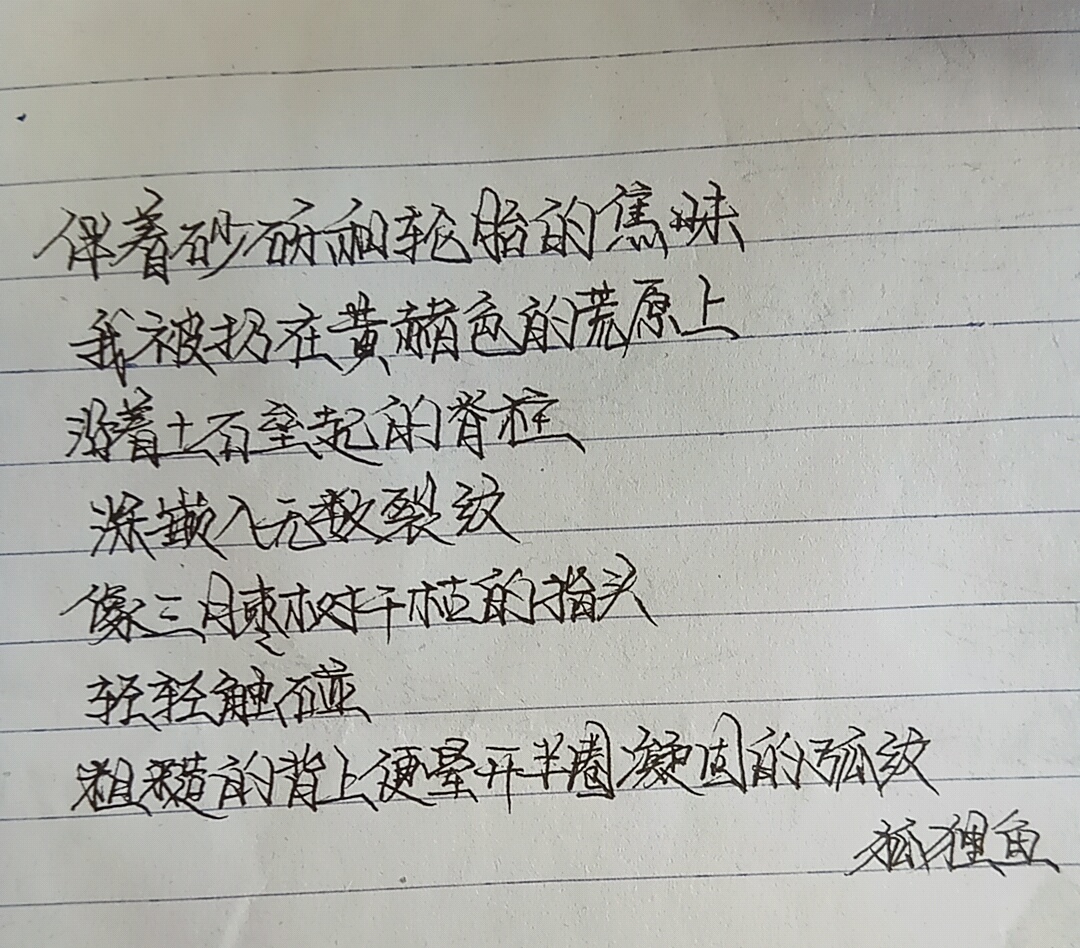 三月枣树干枯的枝头