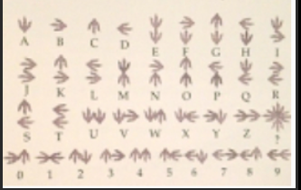 image-20240607191221615