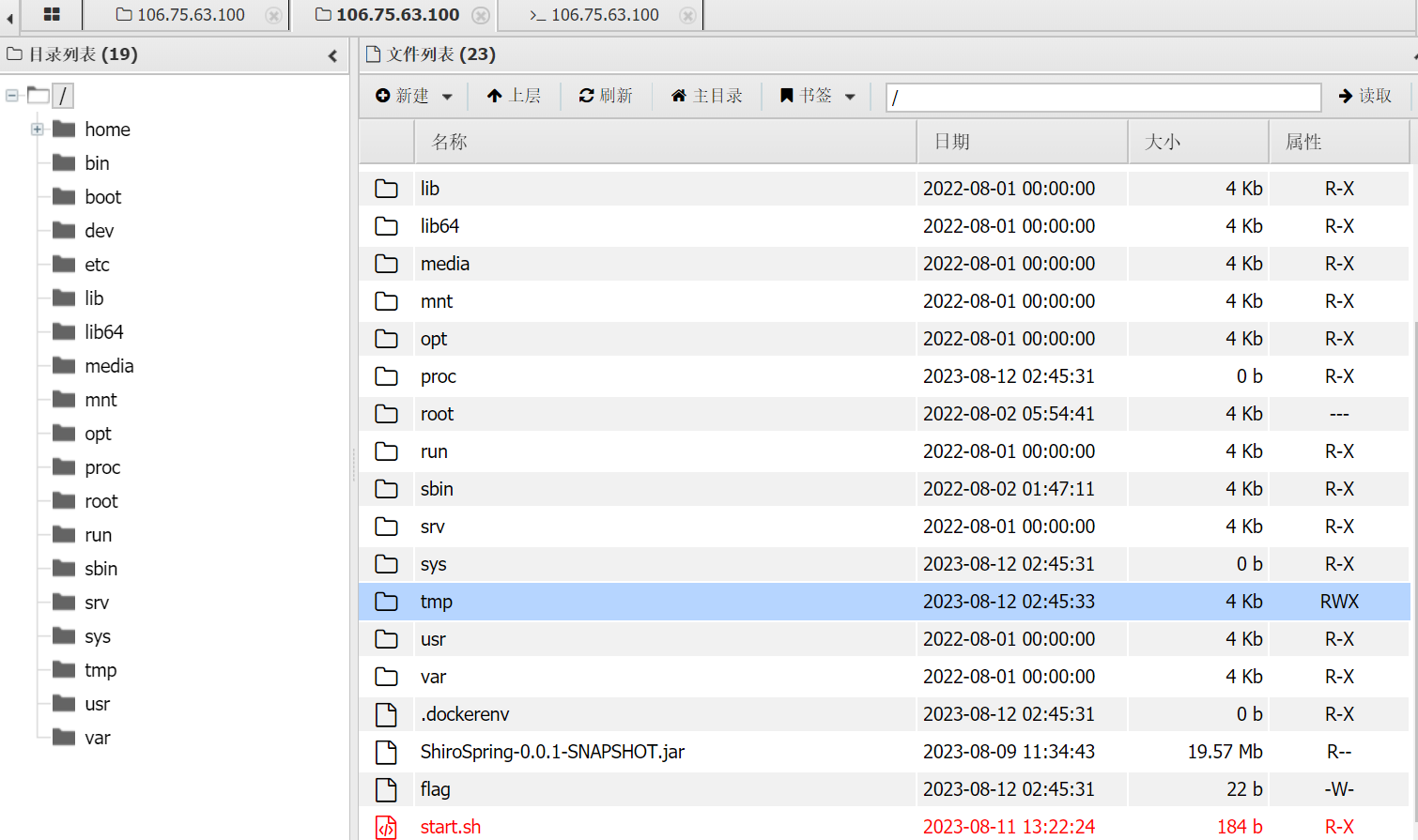 image-20240607191414424