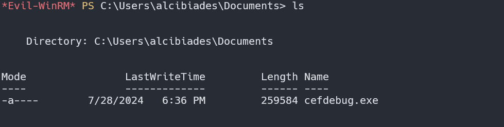 image-20240729093308415