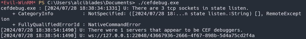 image-20240729093341288