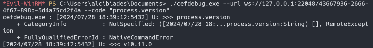 image-20240729093401071