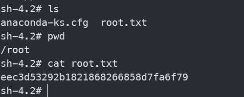 image-20241008162016902