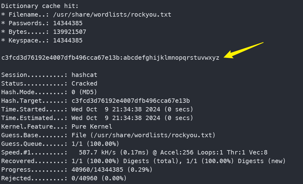 image-20241009213504820
