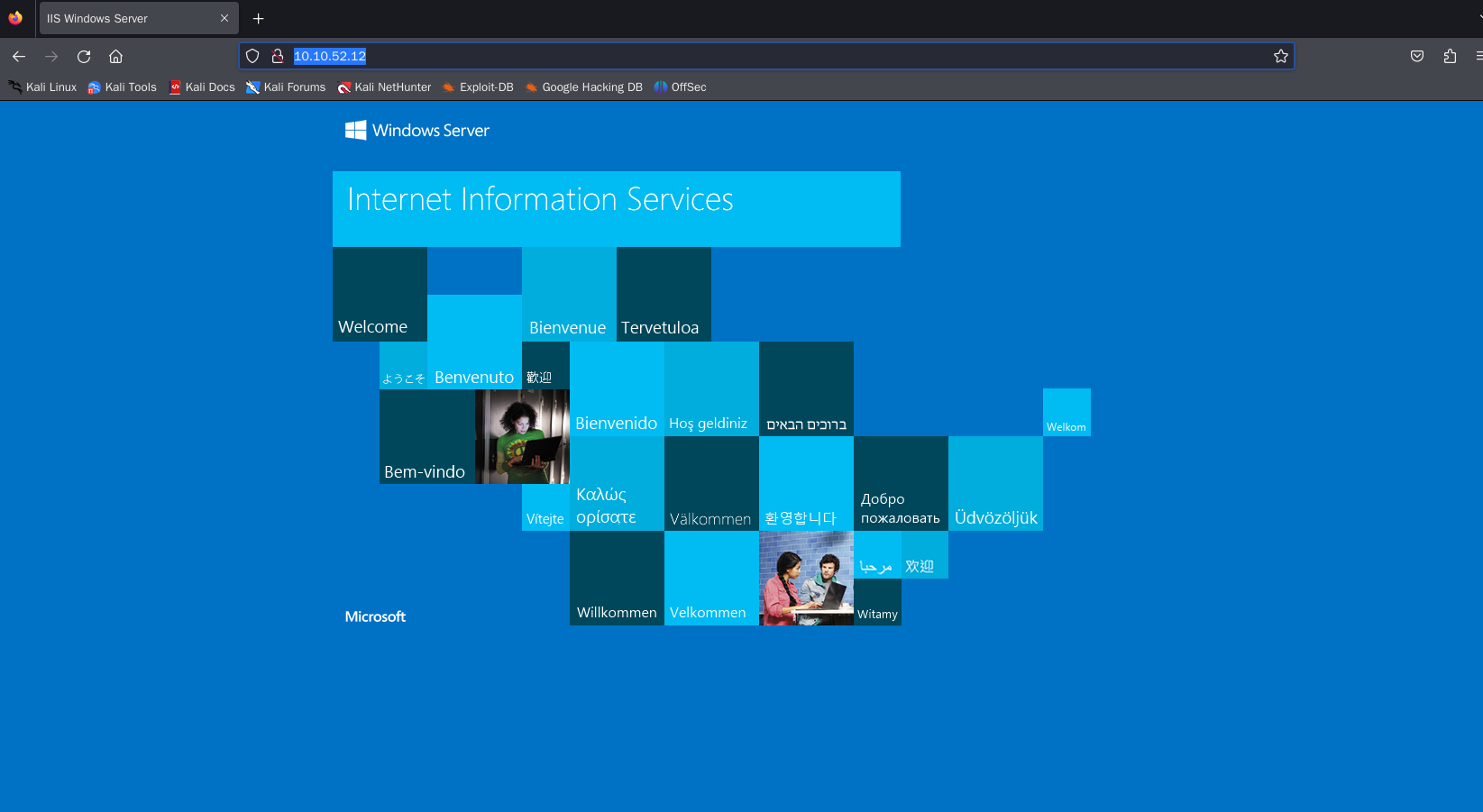 image-20241012125102563