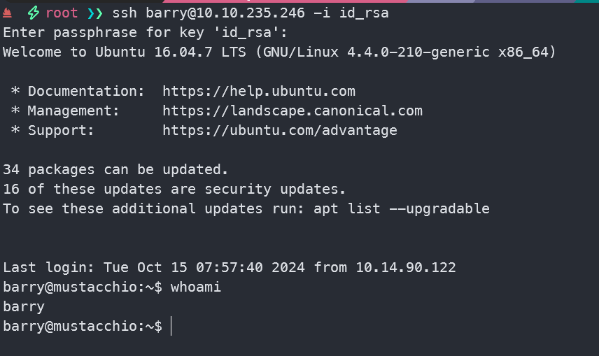 image-20241015155809630