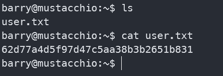 image-20241015155833241