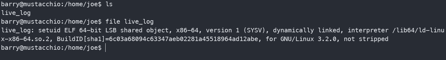 image-20241015161615266