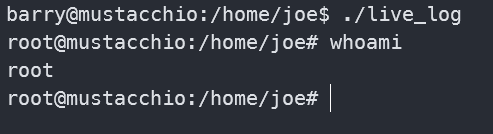 image-20241015163312818