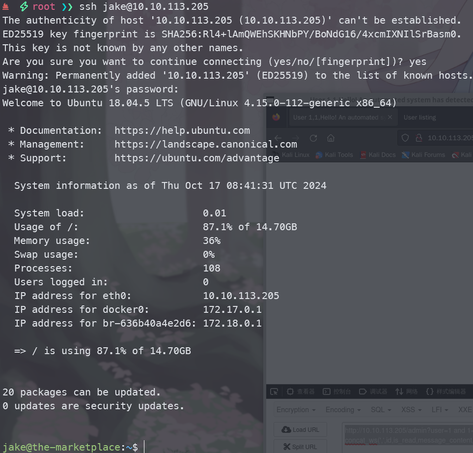 image-20241017164142284