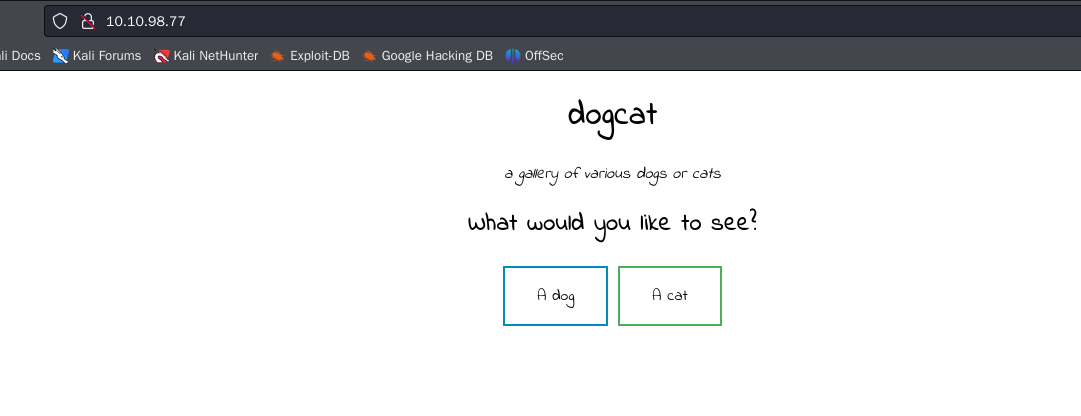 image-20241018152404974