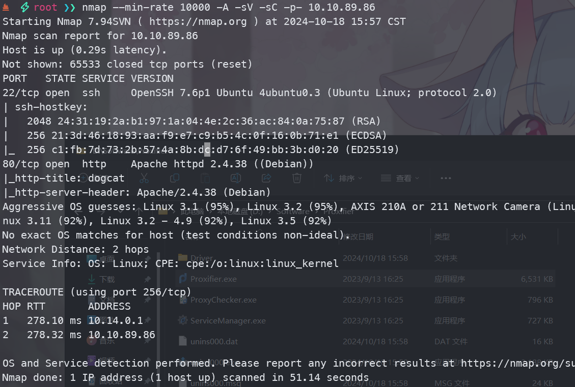 image-20241018160031179