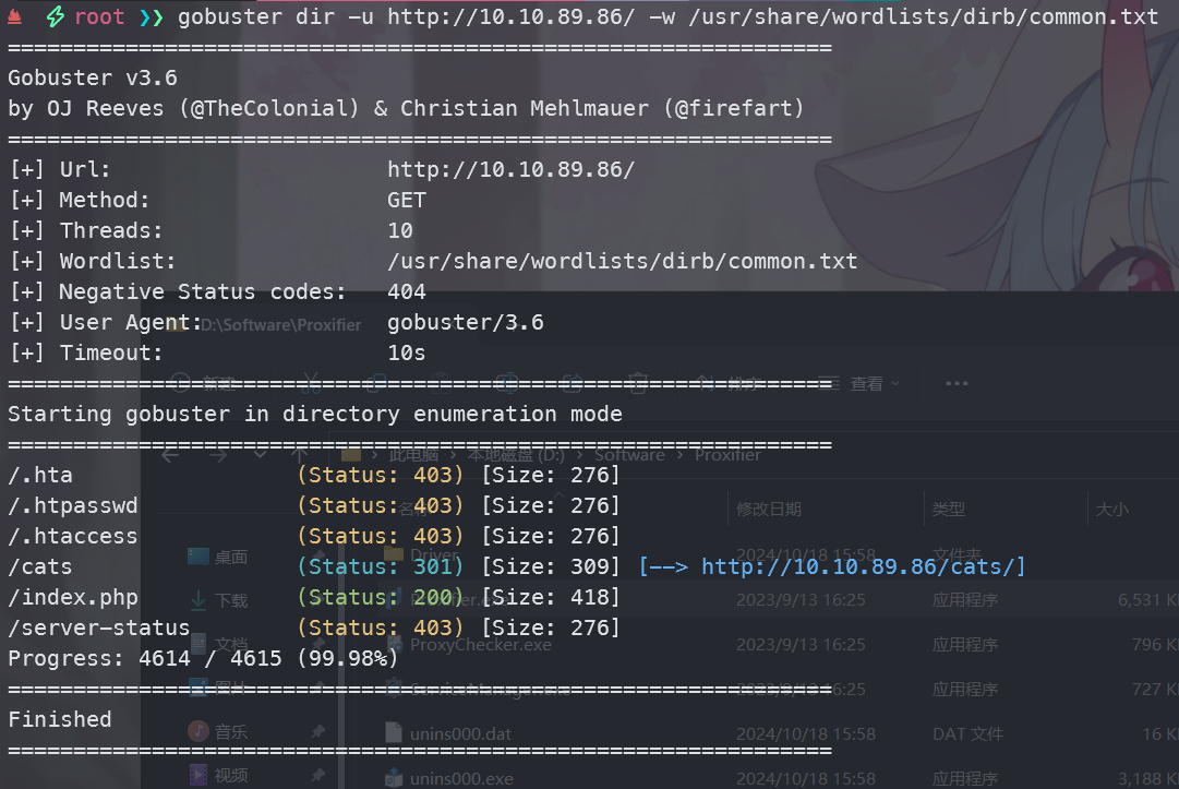image-20241018160045419